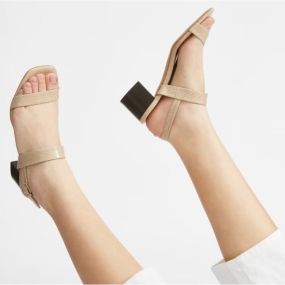 Everlane The Double-Strap Block Heel Sandal Sand Lizard 10.5 - Picture 2 of 10
